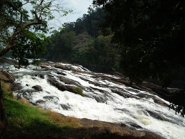தாணிப்பாறை தாணிப்பாறை