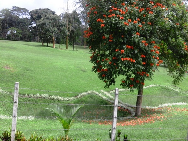 கோனிகொப்பல் கோனிகொப்பல்