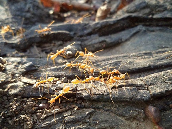  சிவராத்திரியின் போது செல்லுங்கள்