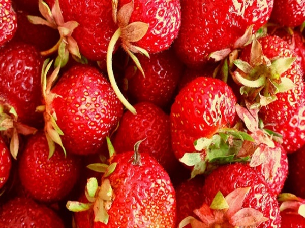 மஹாபாலேஸ்வர் ஸ்ட்ராபெர்ரி தோட்டம்