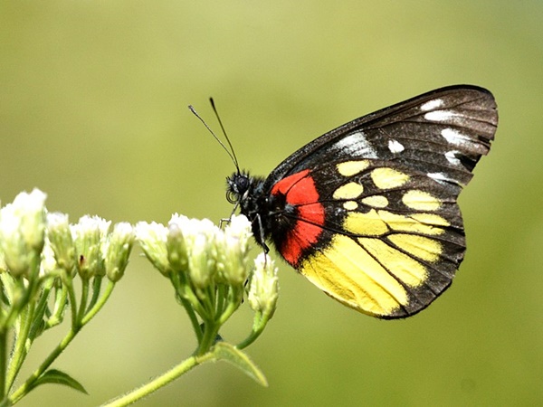 தனித்தன்மை