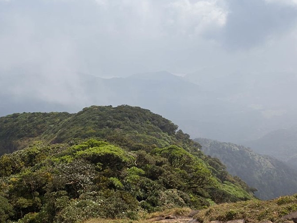 சுருளி வேலப்பர் சுருளி வேலப்பர்