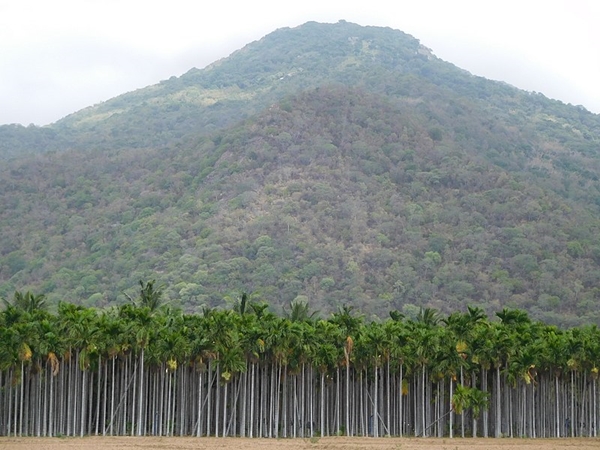 கொங்கு மண்டலம்