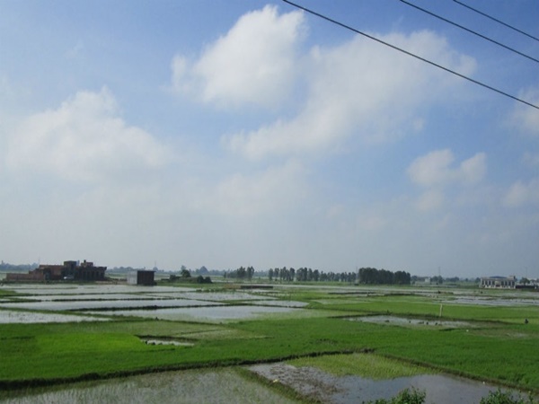  வாரணாசியிலிருந்து