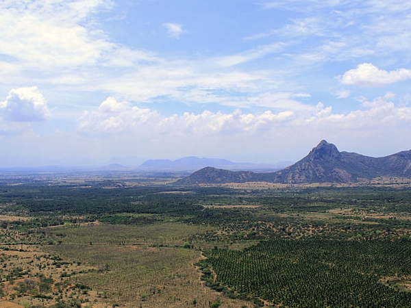 வேலப்ப நாயக்கர்