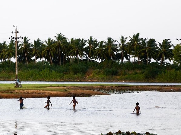 அம்பாசமுத்திரம்