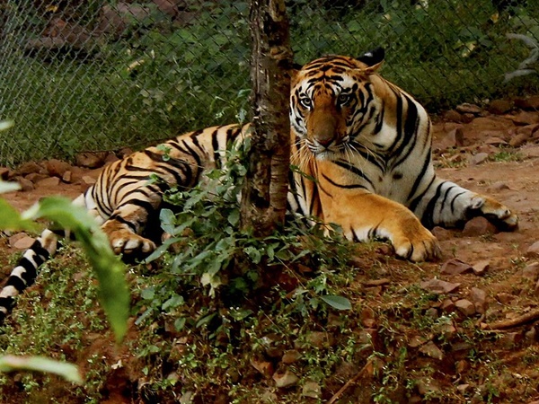  காலை 7 மணி | சுற்றுலா தொடங்குகிறது | செல்லவேண்டிய இடங்களும் திட்டமும்