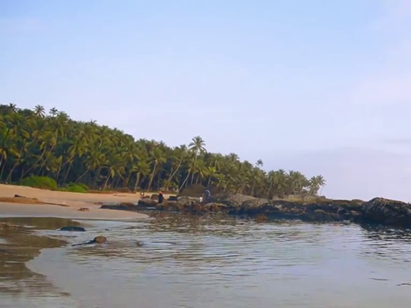 என்னென்ன செய்யலாம் என்னென்ன செய்யலாம்