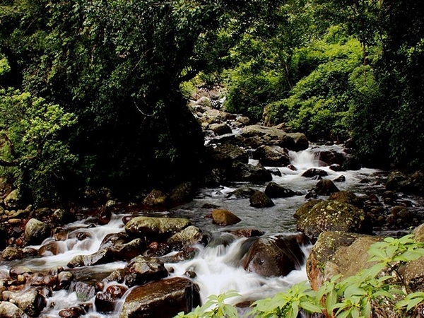 கூடலூர்