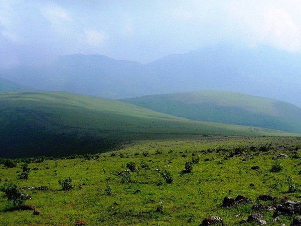 கிழக்குத் தொடர்ச்சி மலை