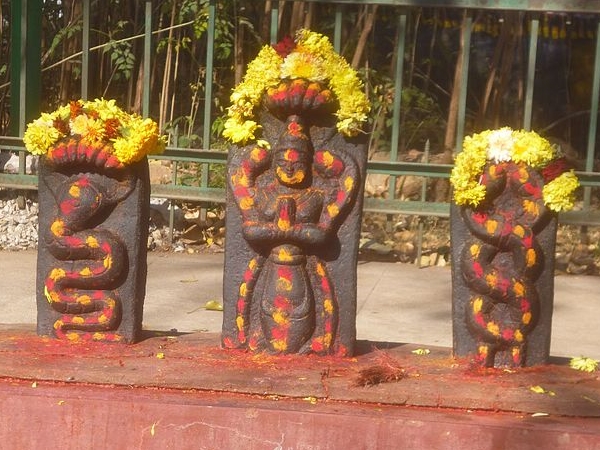 தையல்நாயகி அம்மன் ஆலயம்