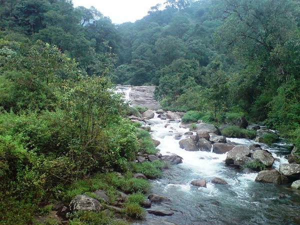 எருமைப்பள்ளி அருவி