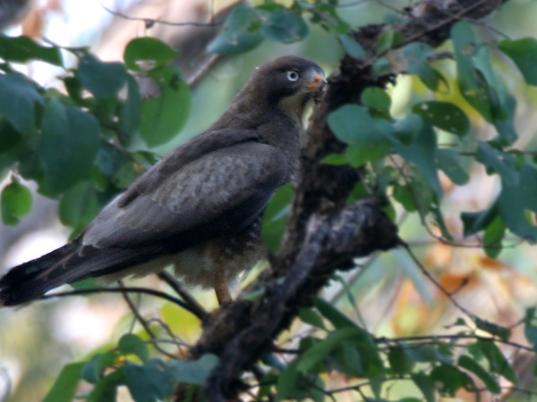 போக்குவரத்து வசதிகள்