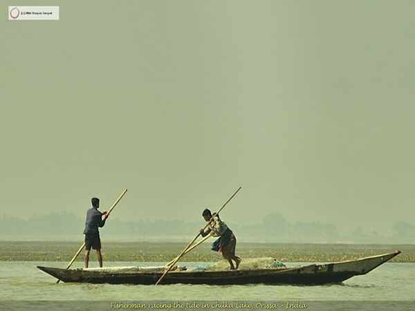 சில்கா - இயற்கையின் இசைவு!