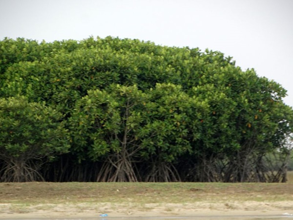 எப்போது செல்வது சிறந்தது