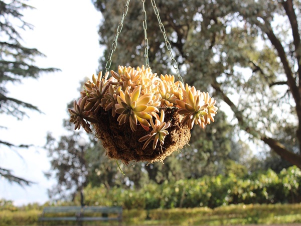 நீங்கள் ஏன் இங்கு செல்லவேண்டும்