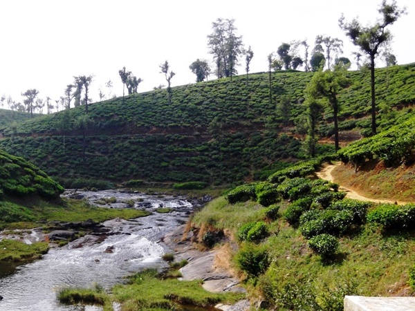 நல்லமுடி பூஞ்சோலை நல்லமுடி பூஞ்சோலை