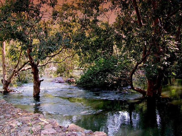 சீதா மாதா ரிசர்வ் வனக் காடு