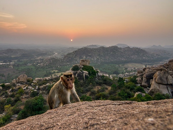  ஹனுமான் பக்தர்கள் 