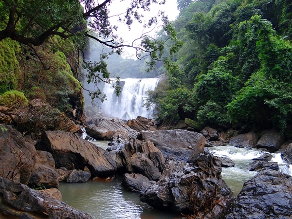 கன்னியாகுமரி - கீரிப்பாறை