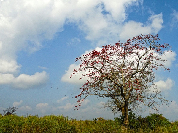 சுற்றுலா அம்சங்கள்