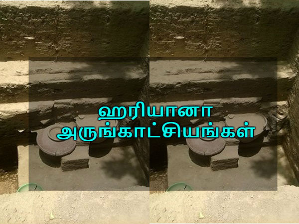  ஹரியானா அருங்காட்சியங்கள்