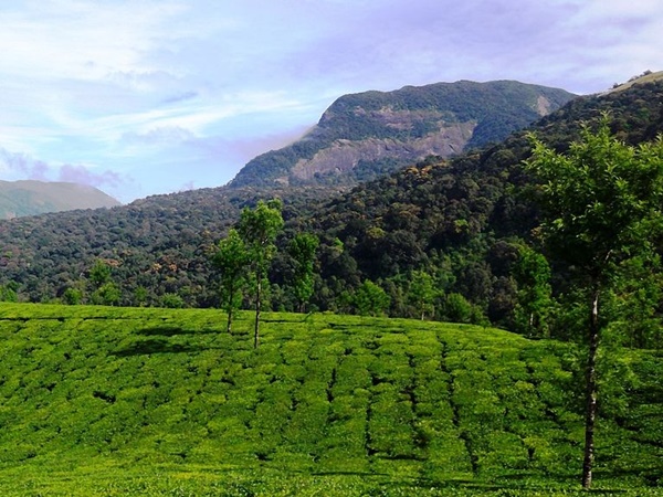 சக்தி தலனார் காட்சி சக்தி தலனார் காட்சி