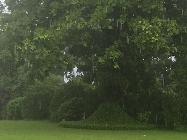 பிரம்மிக்க வைக்கும் சல்ஸா சுற்றுலா