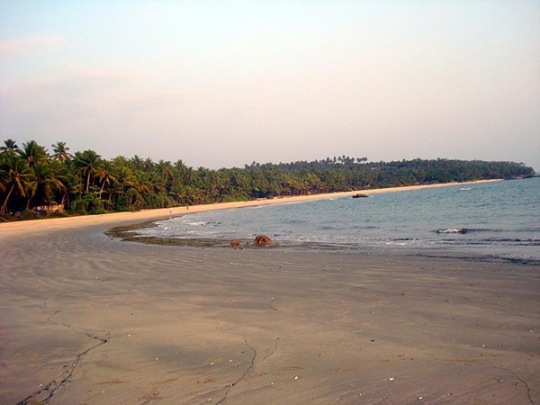 முனம்பம் முனம்பம்