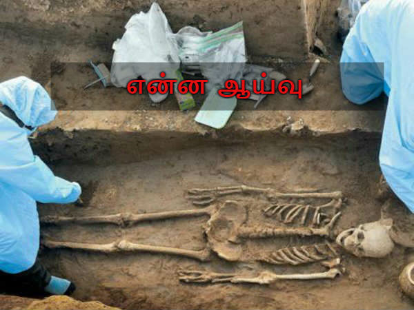 என்ன ஆய்வு என்ன ஆய்வு
