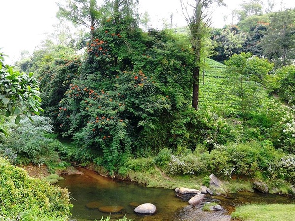  நம்பர் பாறை