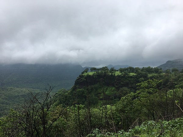  மேற்குத் தொடர்ச்சி மலை