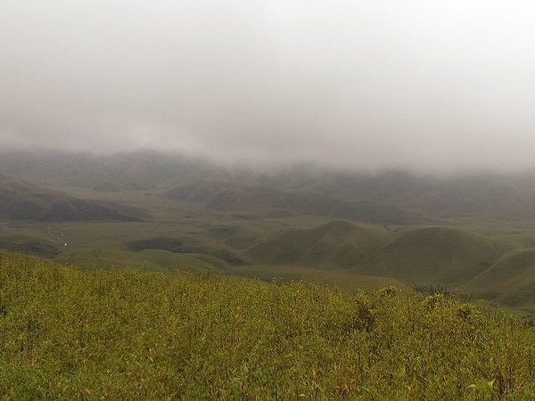  நிச்சுகார்ட்