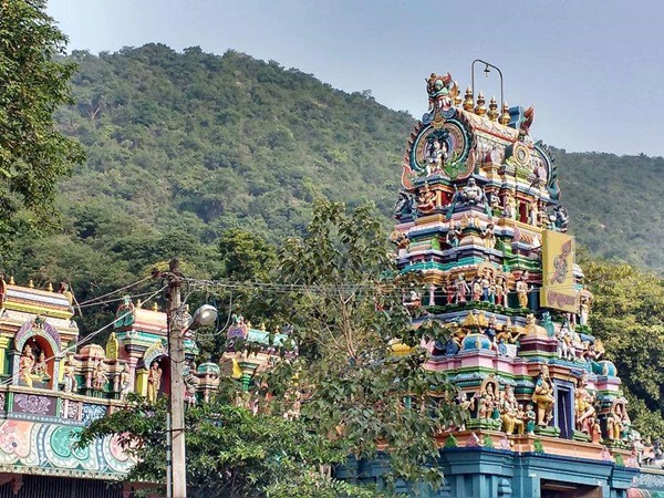மருதமலை மருதமலை