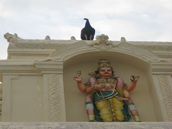 உயிர்பெற்ற மயில் வாகனம்