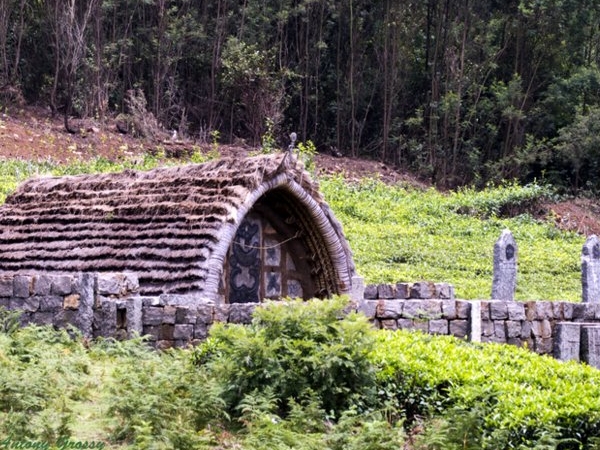 வயதைக் கணிக்கும் குறிஞ்சி