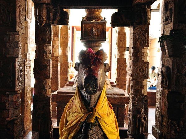 அதிசய நந்தி