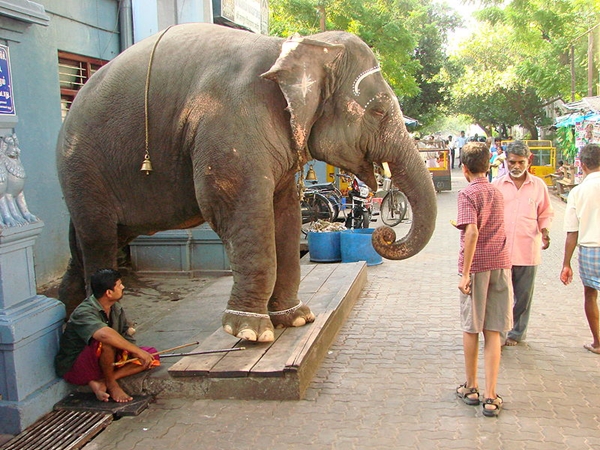 கிணற்றின் மீது விநாயகர்