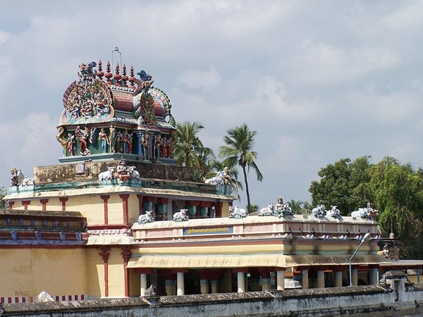 மகம் நட்சத்திர யோகம் மகம் நட்சத்திர யோகம்