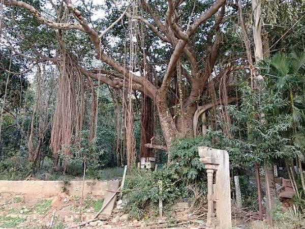 காளகஸ்தியில் என்னென்ன கோவில்களெல்லாம் இருக்கு பாருங்க!