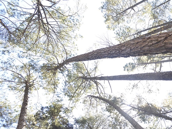  விடுதியும் ரசனைகளும்