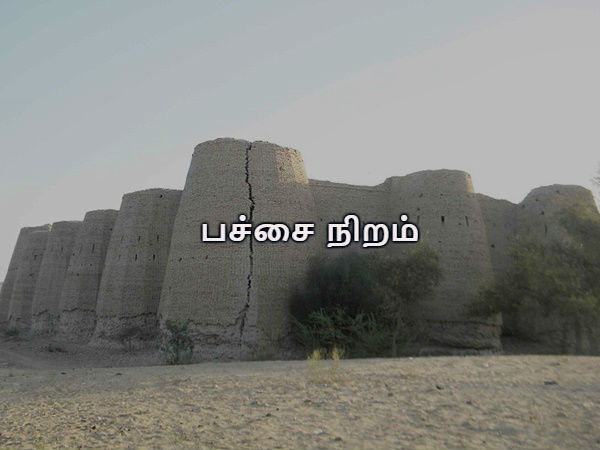 பச்சை நிறமும் இயற்கை காட்சிகளும் 