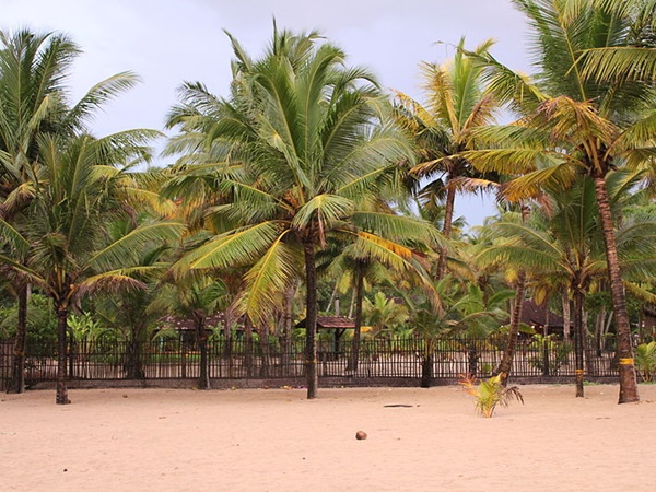 மராரி பீச், ஆலப்புழா மராரி பீச், ஆலப்புழா