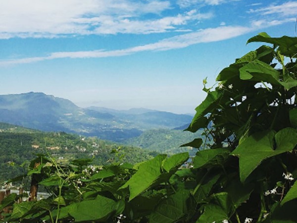 இவர்களின் திருவிழா கொண்டாட்டம்