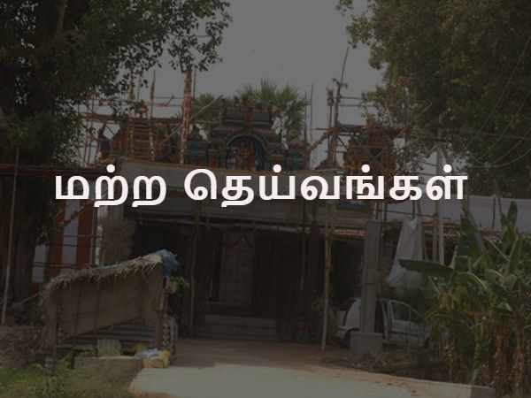 மற்ற தெய்வங்கள்