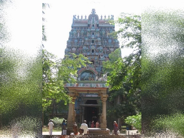 திருவானைக்காவல் ஜம்புகேஸ்வரர் அகிலாண்டேஸ்வரி கோவில் திருவானைக்காவல் ஜம்புகேஸ்வரர் அகிலாண்டேஸ்வரி கோவில்