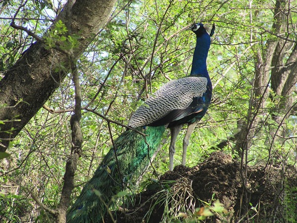 ரிசார்ட்டை சுற்றி