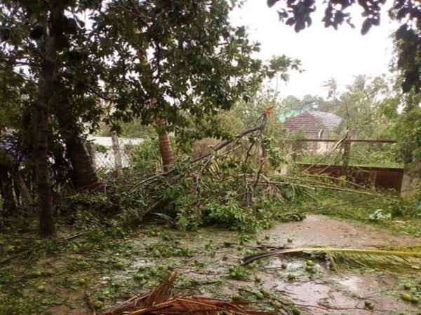 வேதாரண்யம் அருகே வேதாரண்யம் அருகே