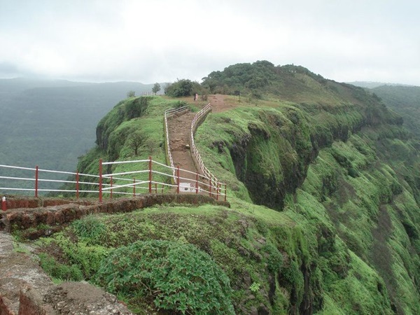 கோடை வாழிடம்