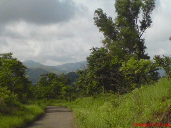 பைனாவு பைனாவு